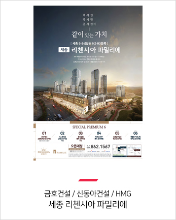 금호건설 / 신동아건설 / HMG
세종 리첸시아 파밀리에